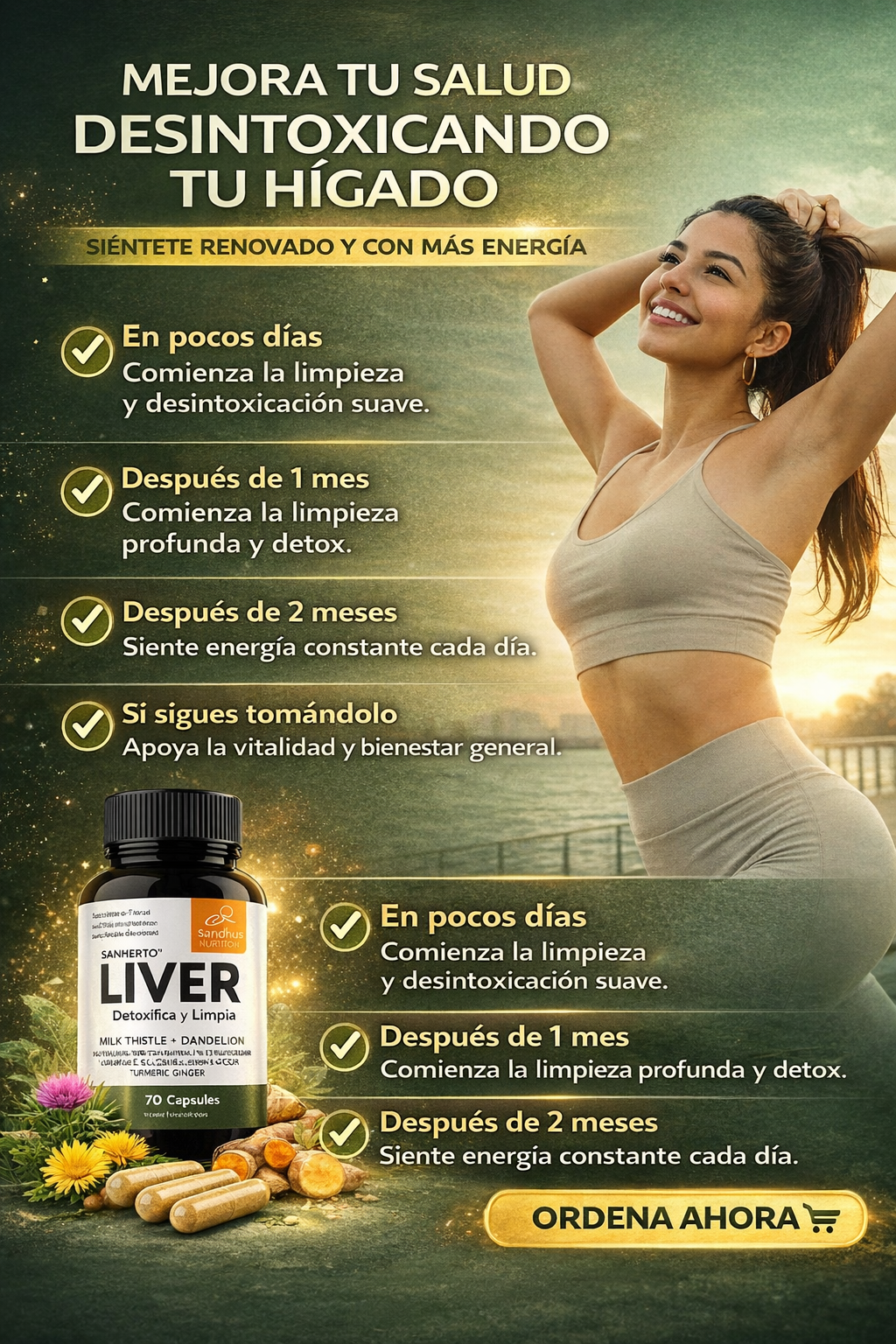 Suplemento Liver Limpieza Higado