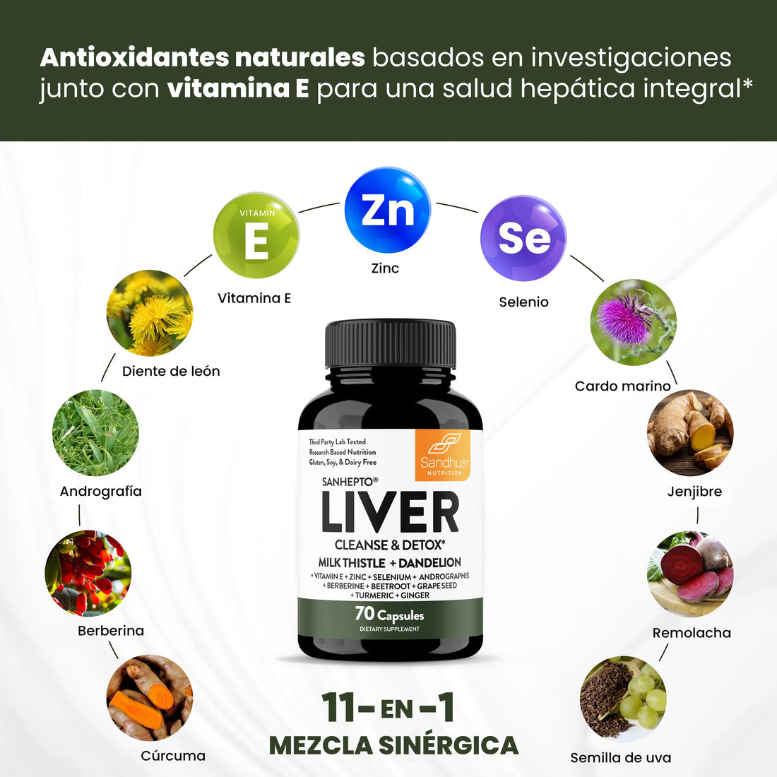 Suplemento Liver Limpieza Higado